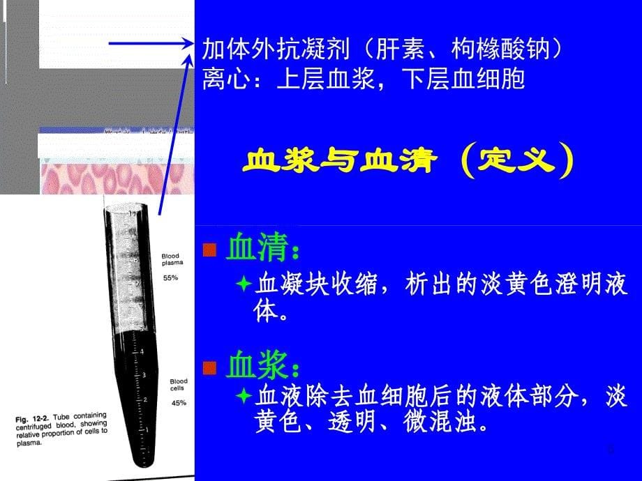 血液系统构成及其生理_第5页