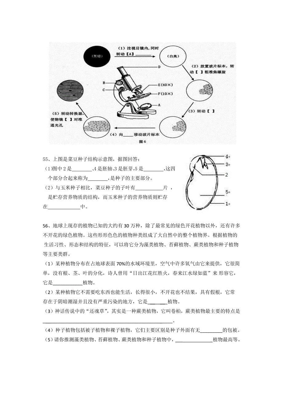 2013年生物期末试卷.docx_第5页