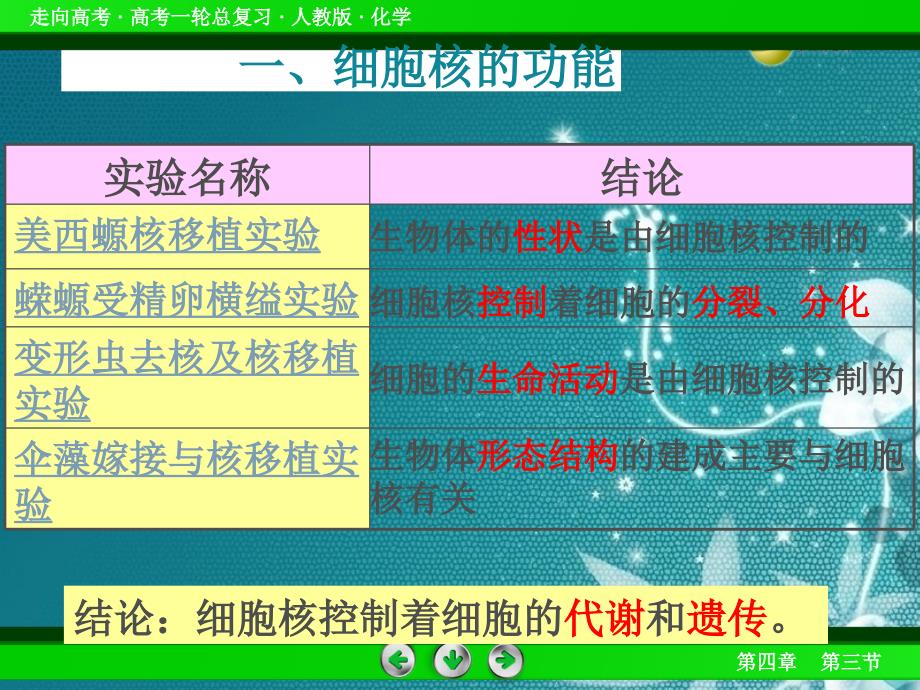 高中生物细胞核—系统的控制中心课件人教版必修一.ppt_第2页