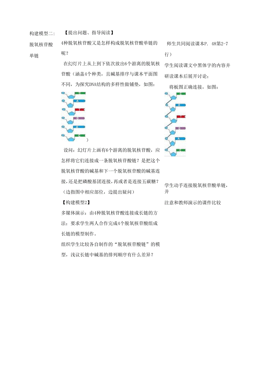 第二节DNA分子的结构_第4页