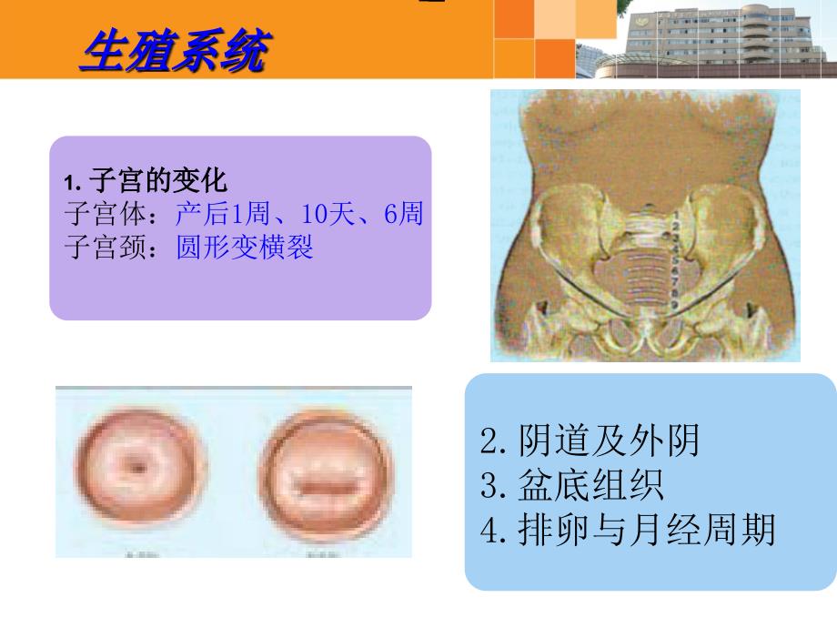 第四章产褥期护理_第4页