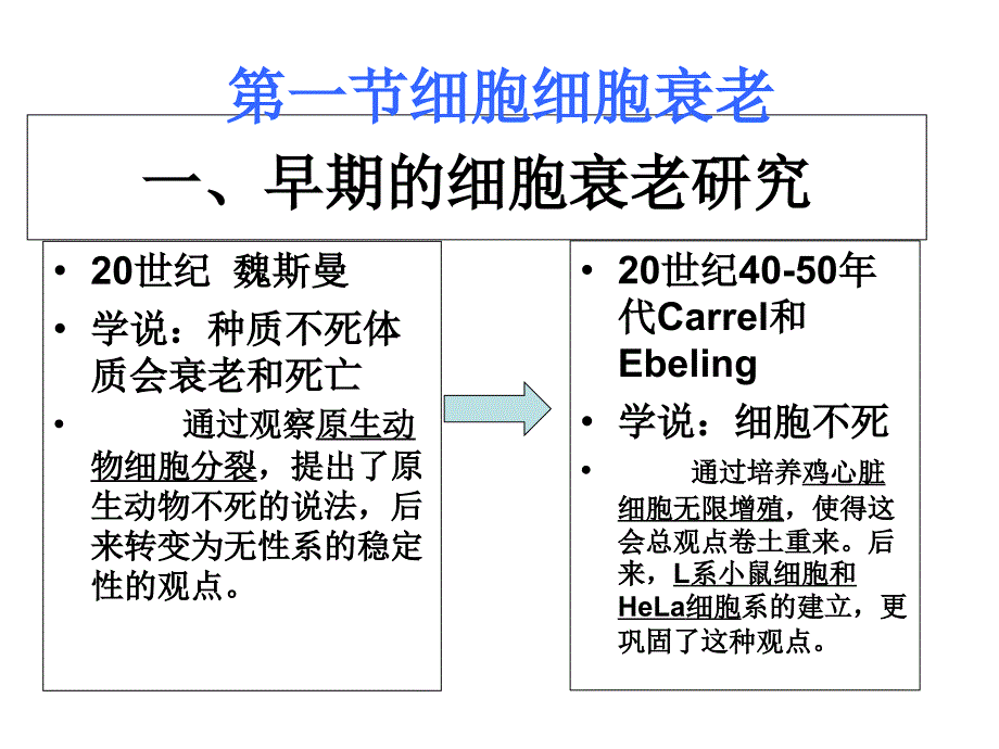 最新高一生物细胞衰老和凋亡PPT文档_第4页