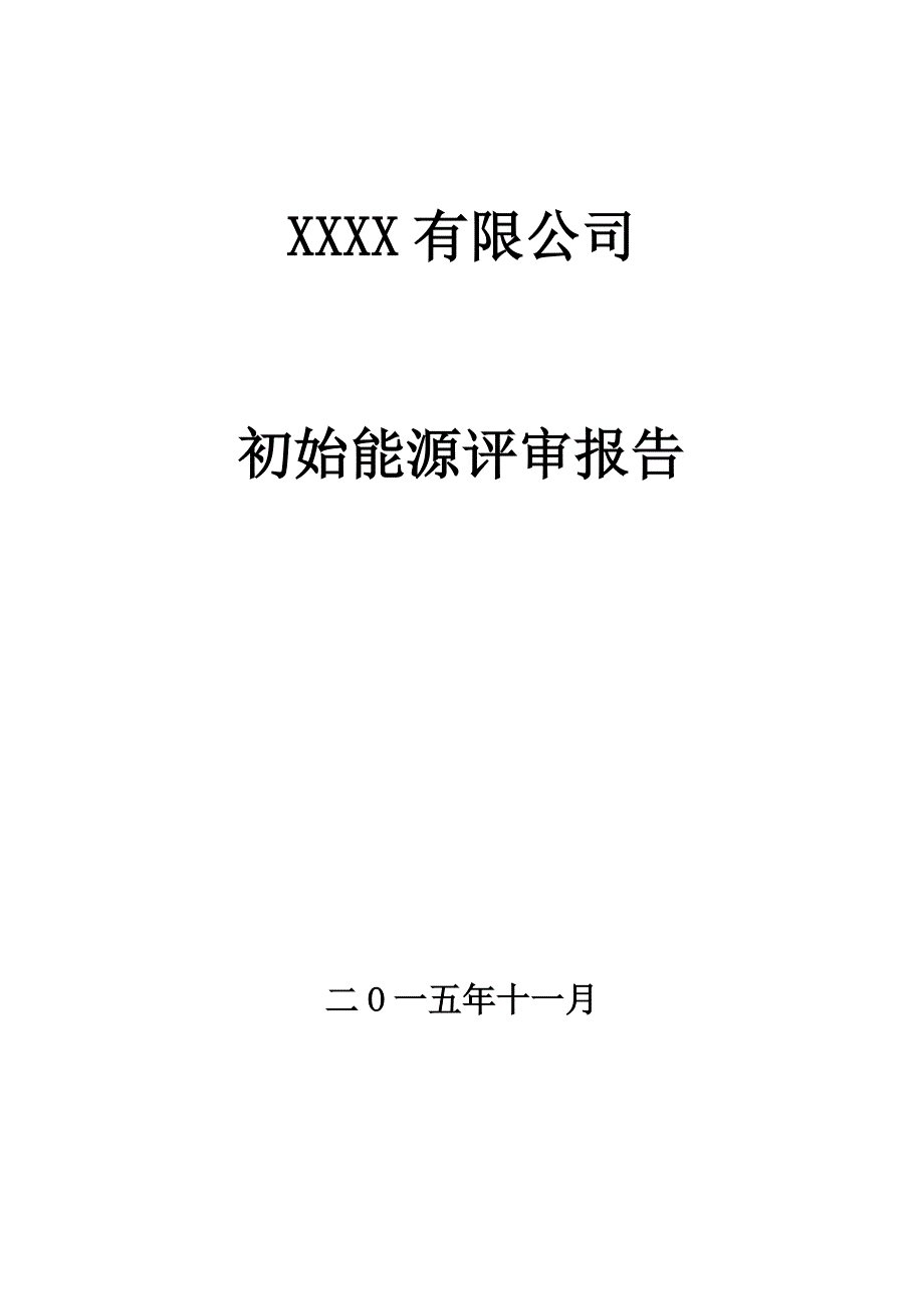 初始能源评审报告模板_第1页