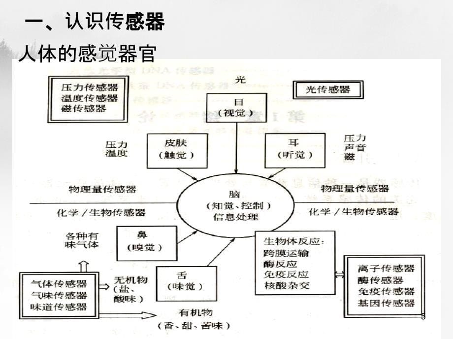 生命的奥秘3把握生命的脉搏_第5页