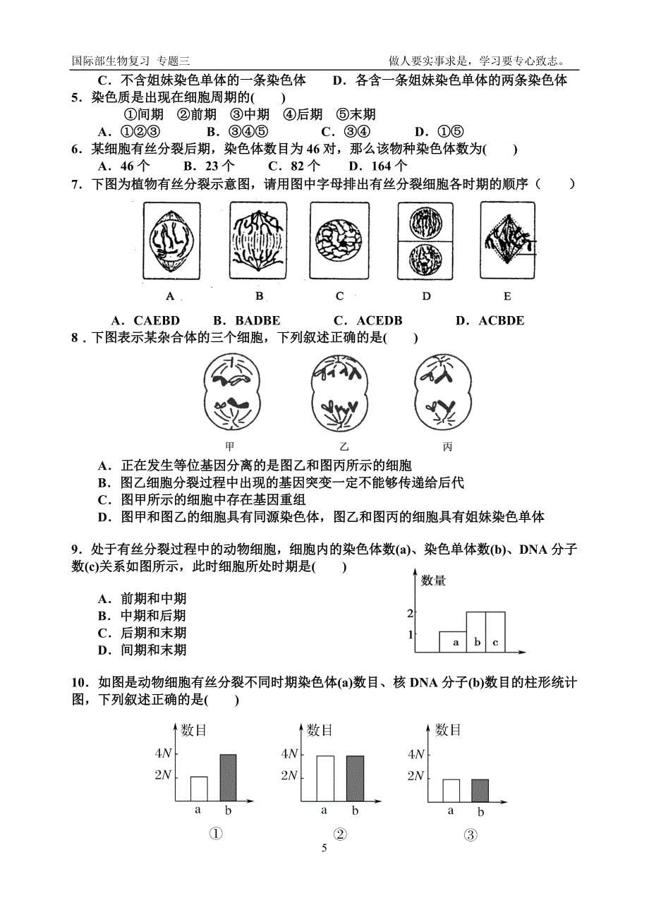 学业水平考试生物复习专题三 细胞的生命历程.doc_第5页