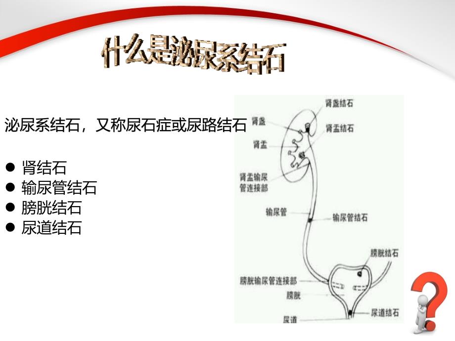 泌尿系结石健康教育.ppt_第3页