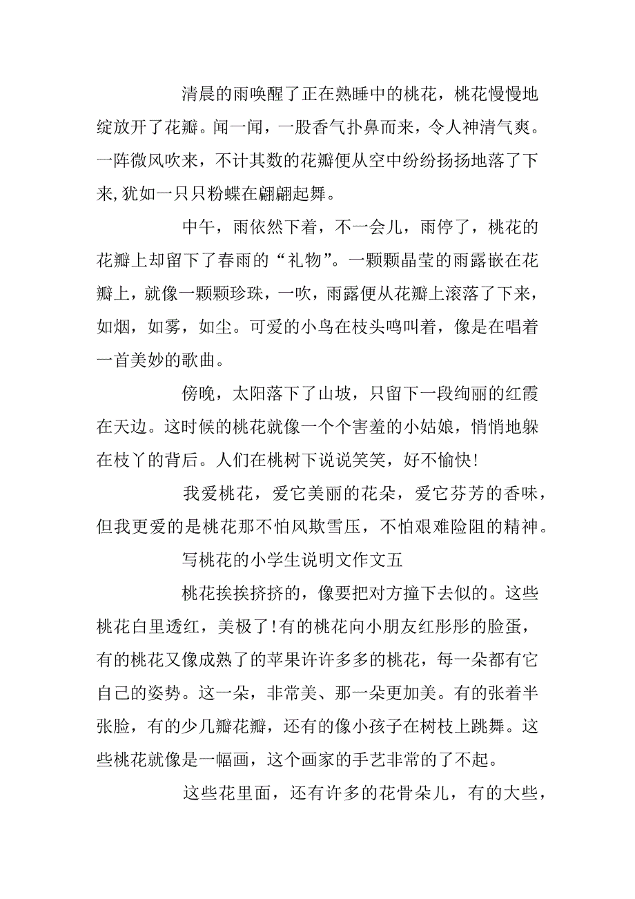 2023年写桃花的小学生说明文作文_第4页