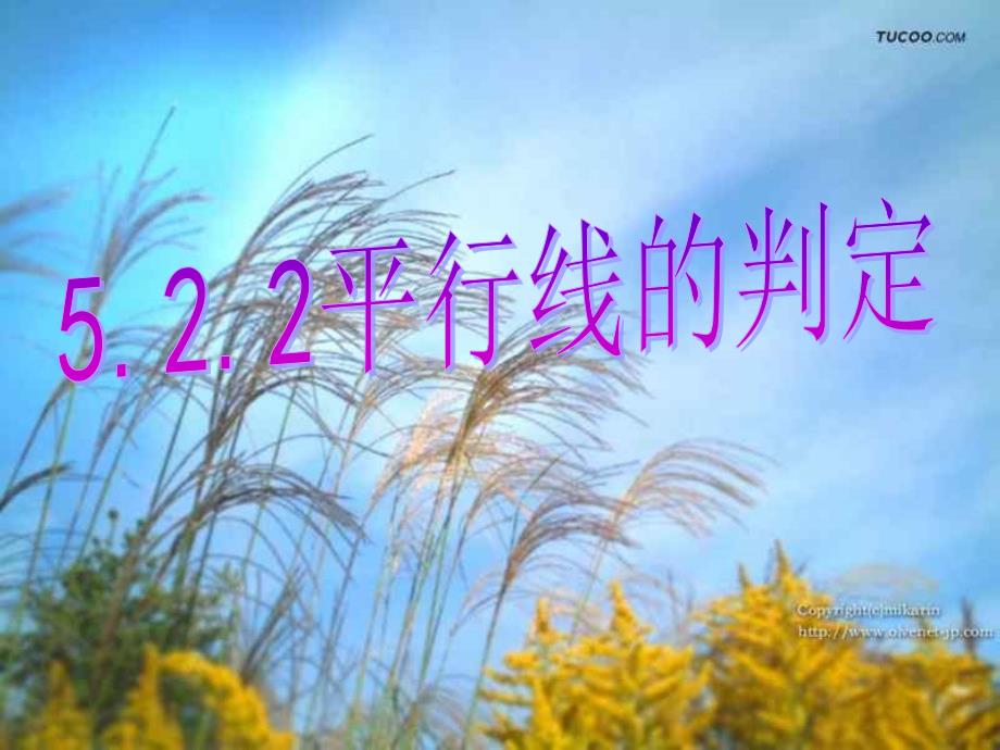 522平行线的判定 (3)_第1页