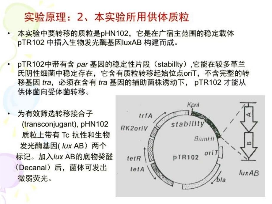 最新微生物遗传-结合转移PPT课件_第4页