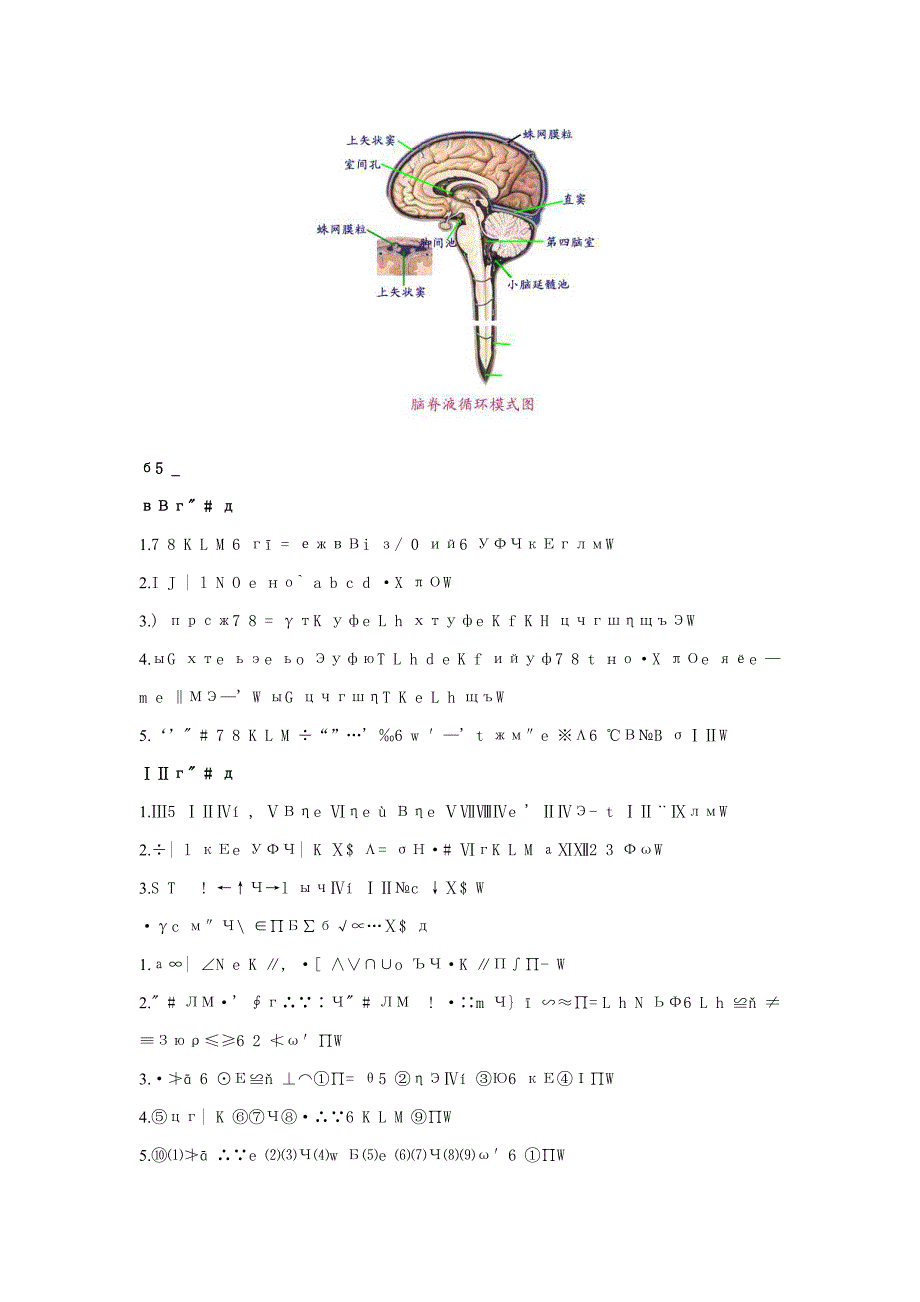 腰椎穿刺术及训练模型_第2页