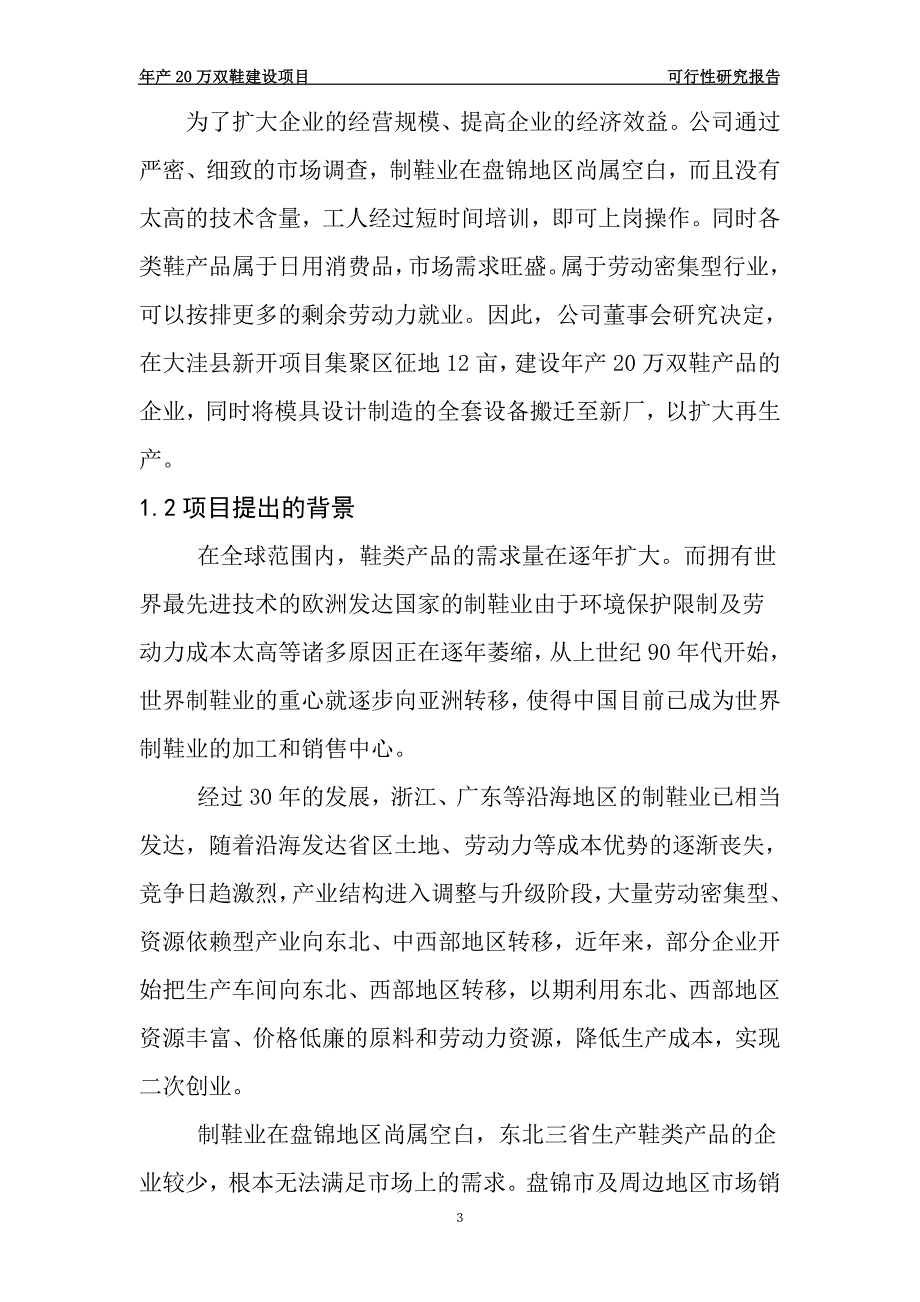 年产20万双鞋建设项目可行性研究报告_第3页