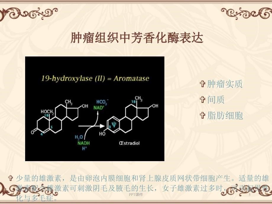 阿诺新的应用肿瘤医院ppt课件_第5页