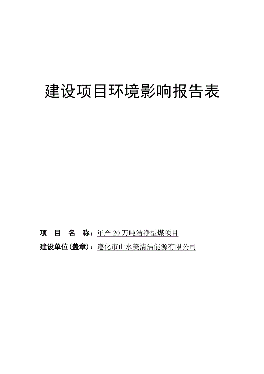 年产20万吨洁净型煤项目环境评估报告表.doc_第1页