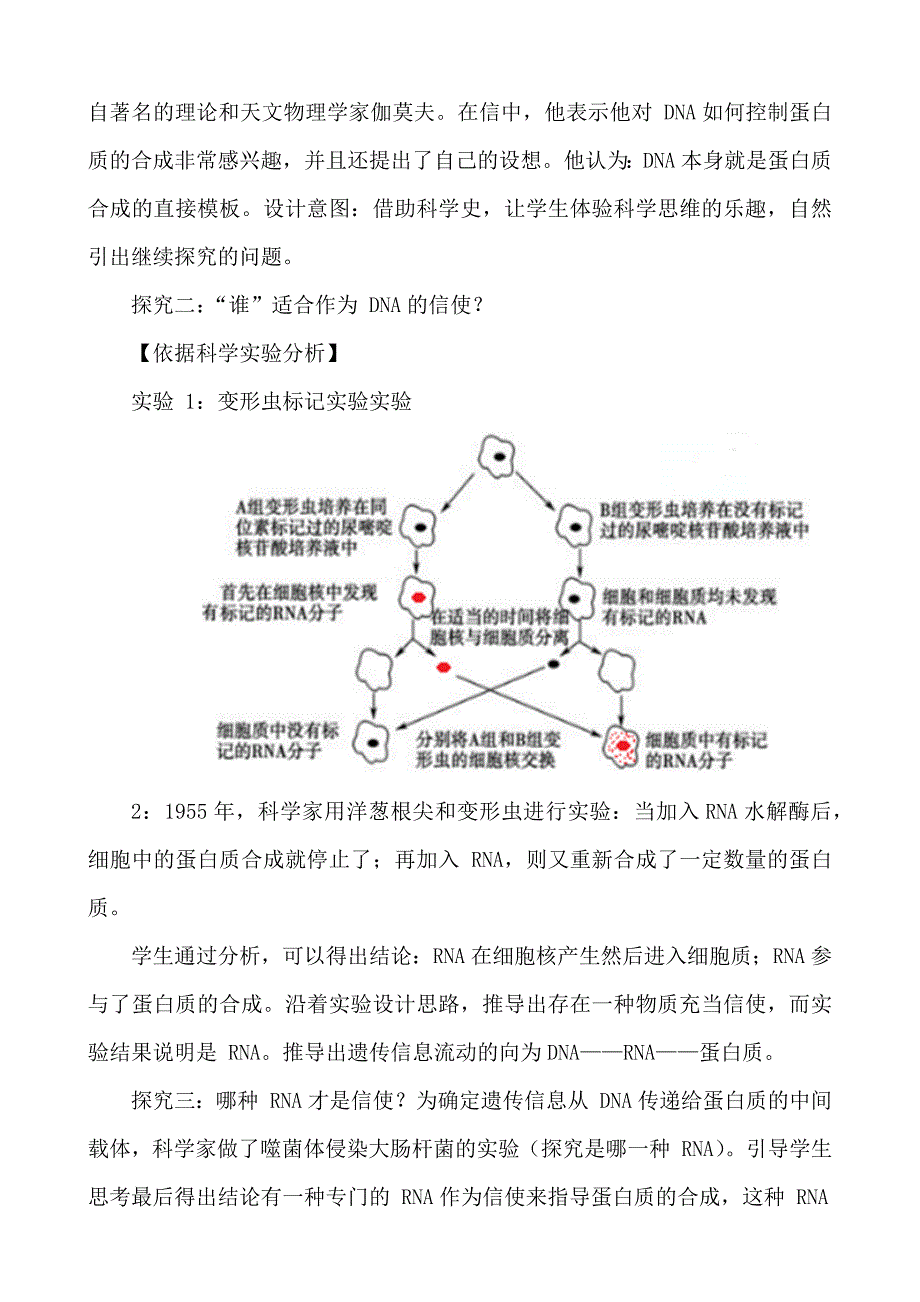 4.1基因指导蛋白质的合成教案 高一生物人教版必修二.docx_第3页