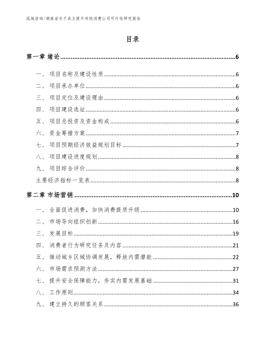 湖南省关于成立提升传统消费公司可行性研究报告_第2页