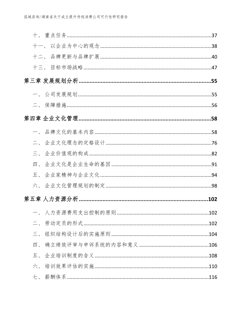 湖南省关于成立提升传统消费公司可行性研究报告_第3页