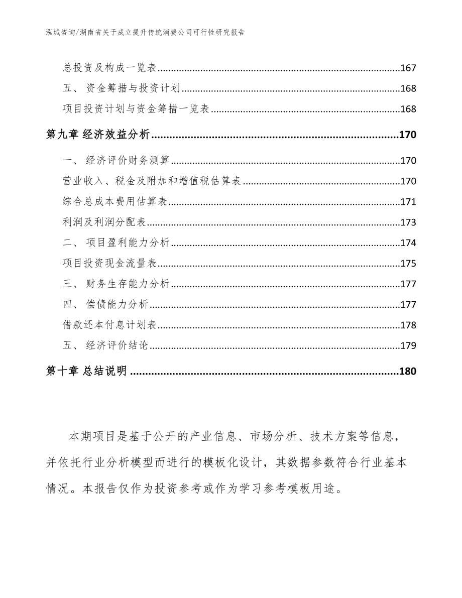 湖南省关于成立提升传统消费公司可行性研究报告_第5页