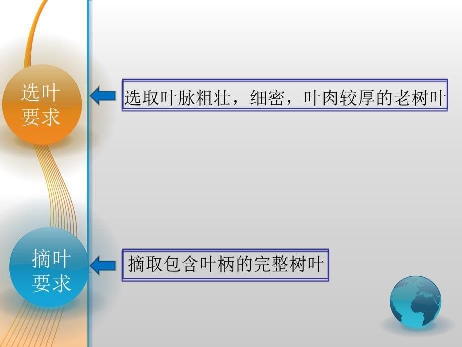 《制作叶脉书签》PPT课件.ppt_第5页