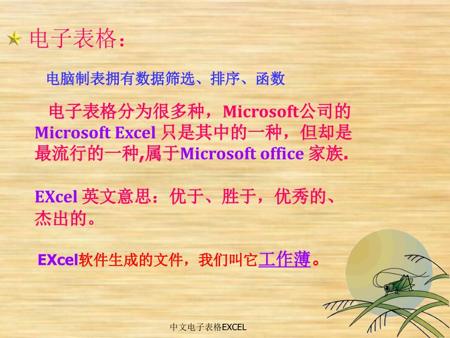 中文电子表格EXCEL课件_第3页