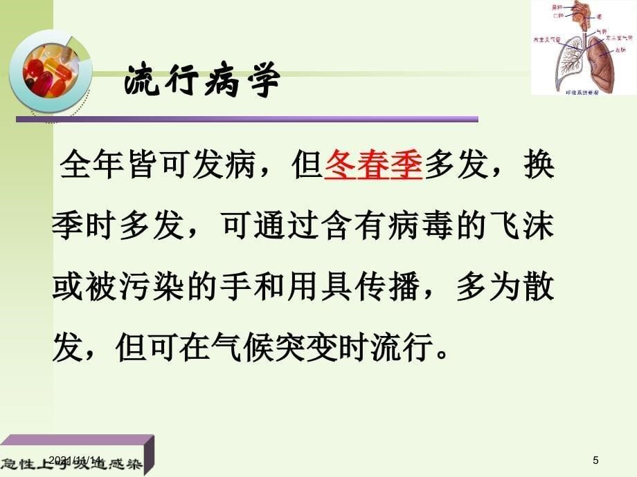 急性上呼吸道感染病人护理上课用课件_第5页