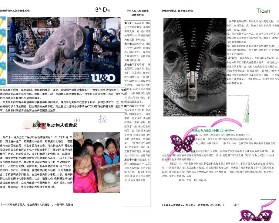 关爱野生动物电子报_第2页