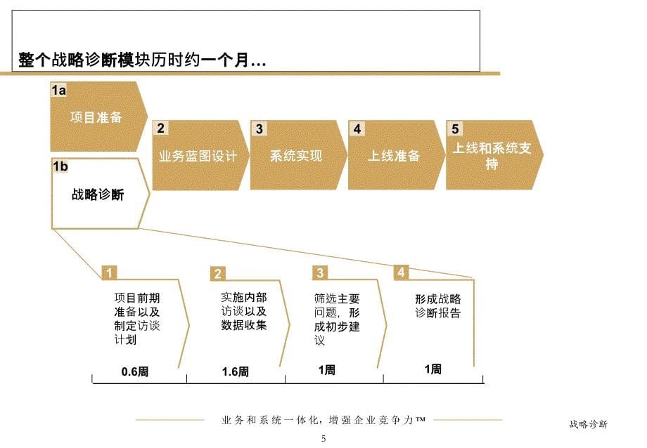 某咨询数字化正泰项目战略诊断报告_第5页