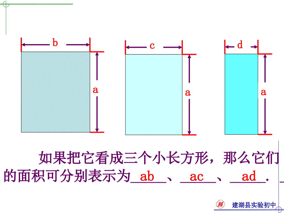 1414单项式乘以多项式课件2_第2页