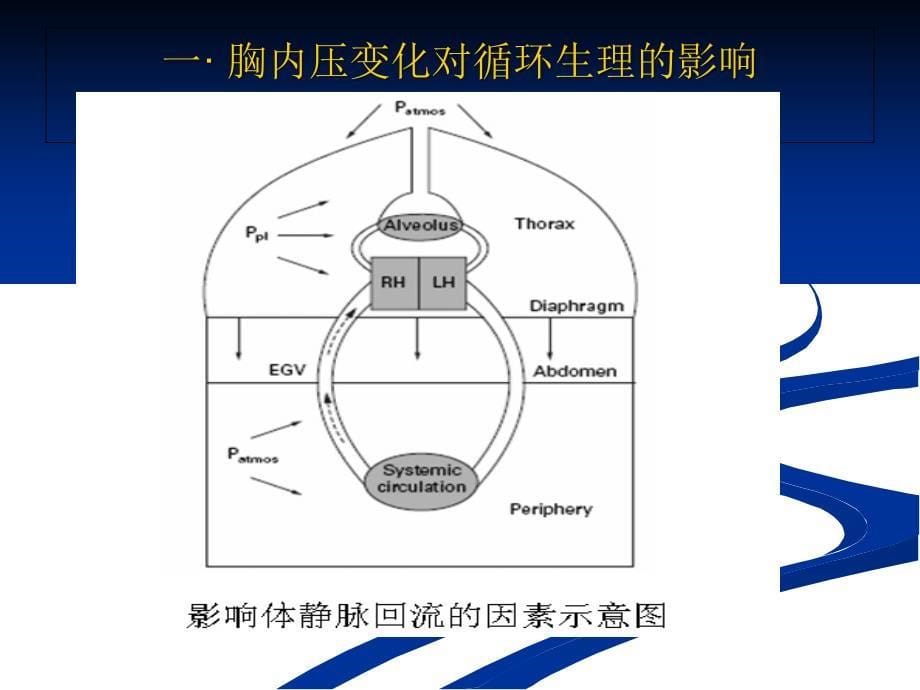 心肺交互作用的概念进展.ppt_第5页