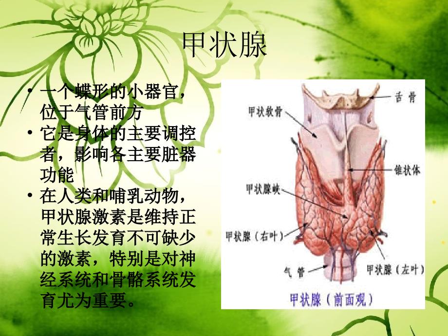 妊娠合并甲状腺功能减低的护理_第3页