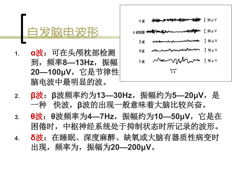 《脑电的测量与分析》PPT课件_第4页