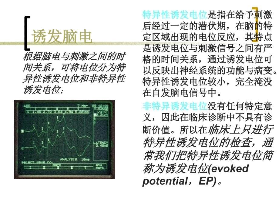 《脑电的测量与分析》PPT课件_第5页