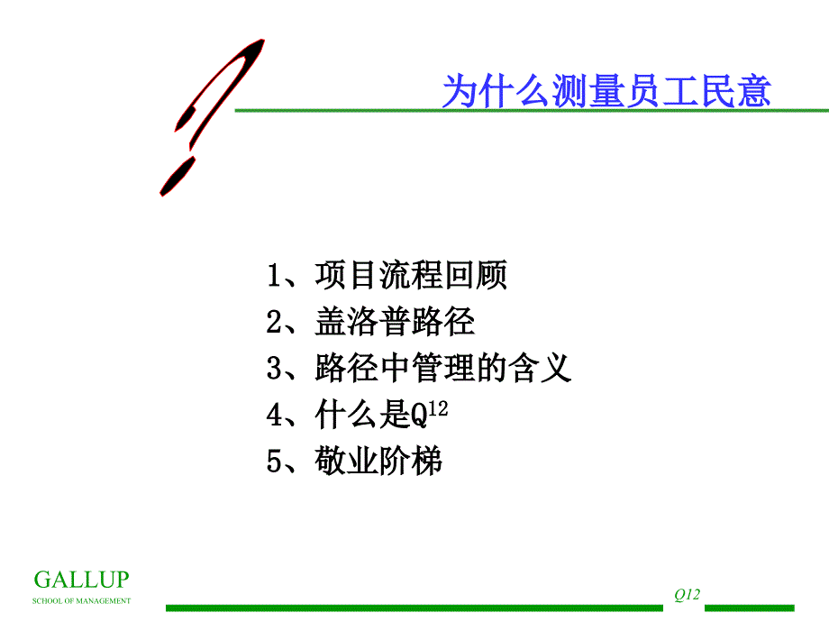 盖洛普Q12结果反馈会指南_第3页