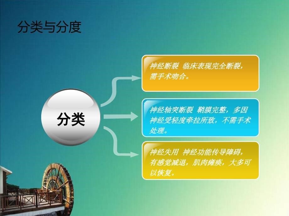 周围神经损伤的护理课件_第5页