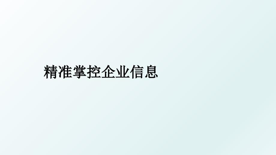 精准掌控企业信息_第1页