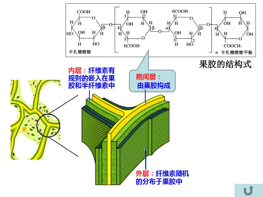 浙科版高中生物选修一2.4实验4果汁中的果胶和果胶酶优质课件_第4页