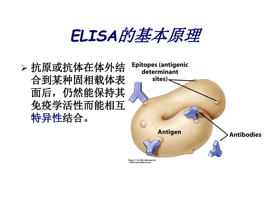 ELISA的基本原理和质量控制_第3页