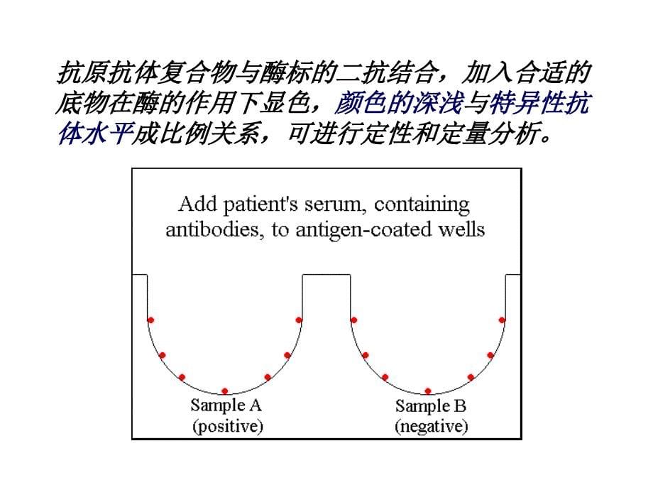 ELISA的基本原理和质量控制_第5页