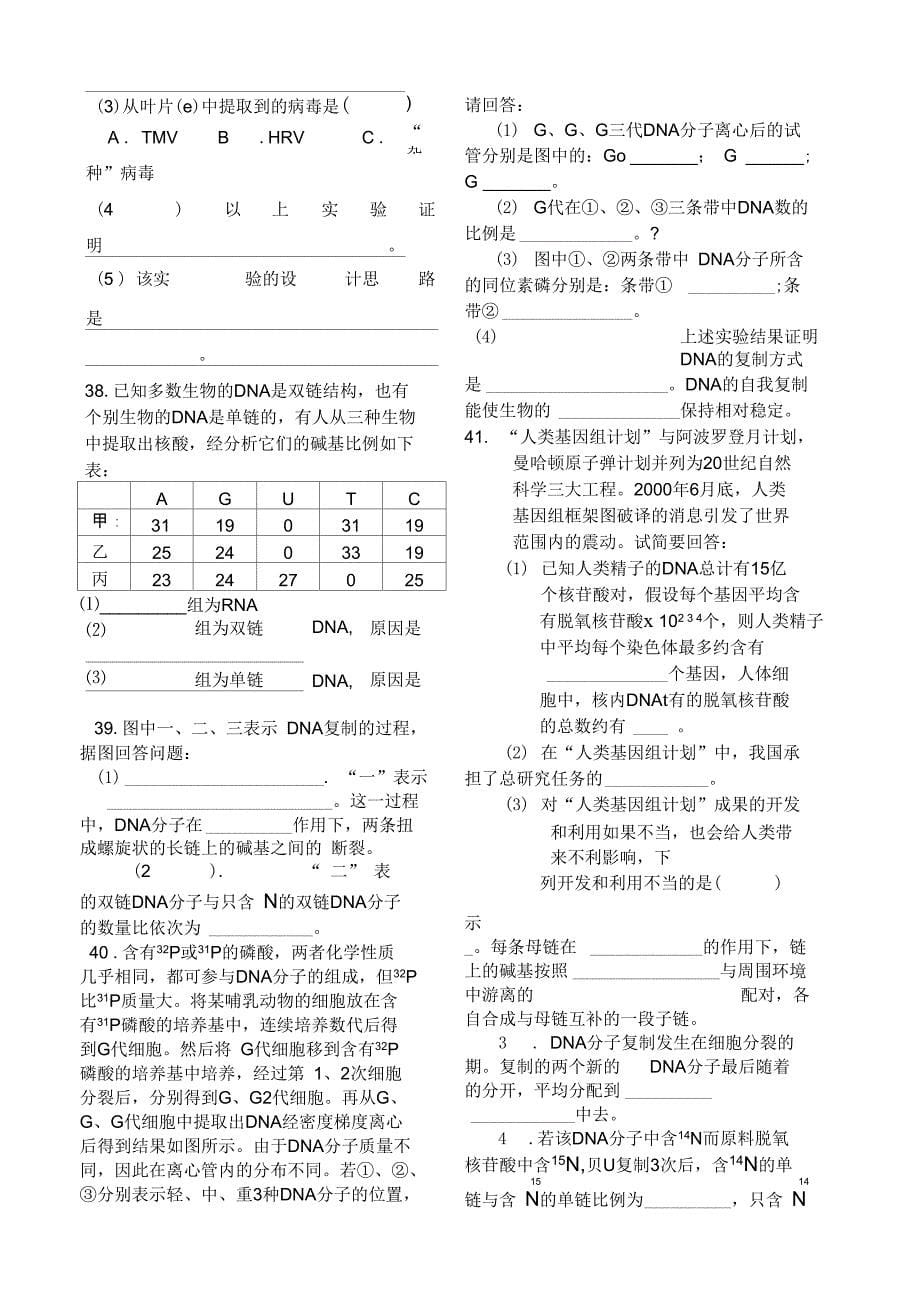 基因的本质综合测试题_第5页