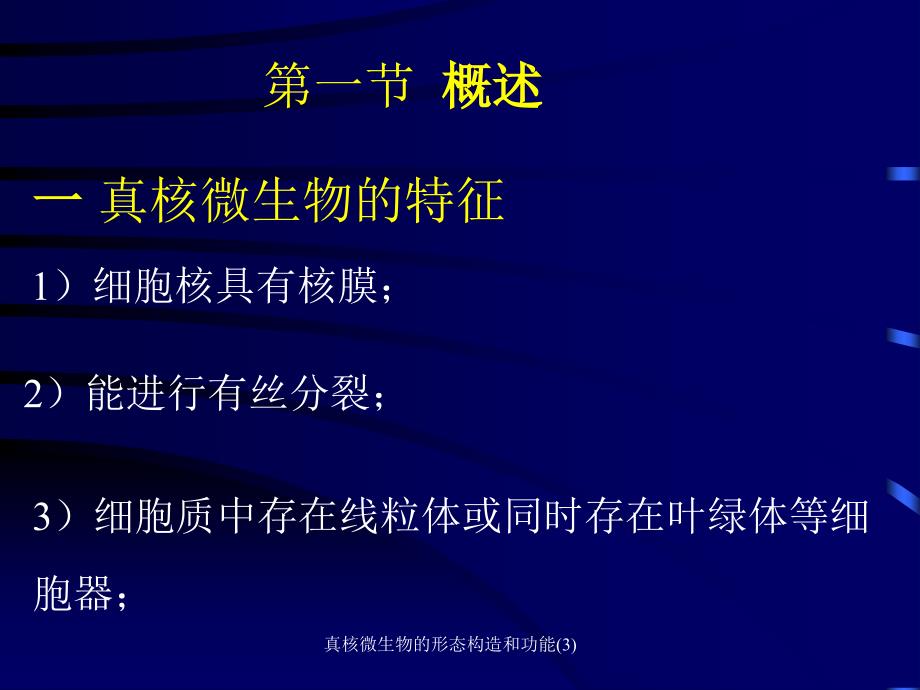 真核微生物的形态构造和功能(3)课件_第2页