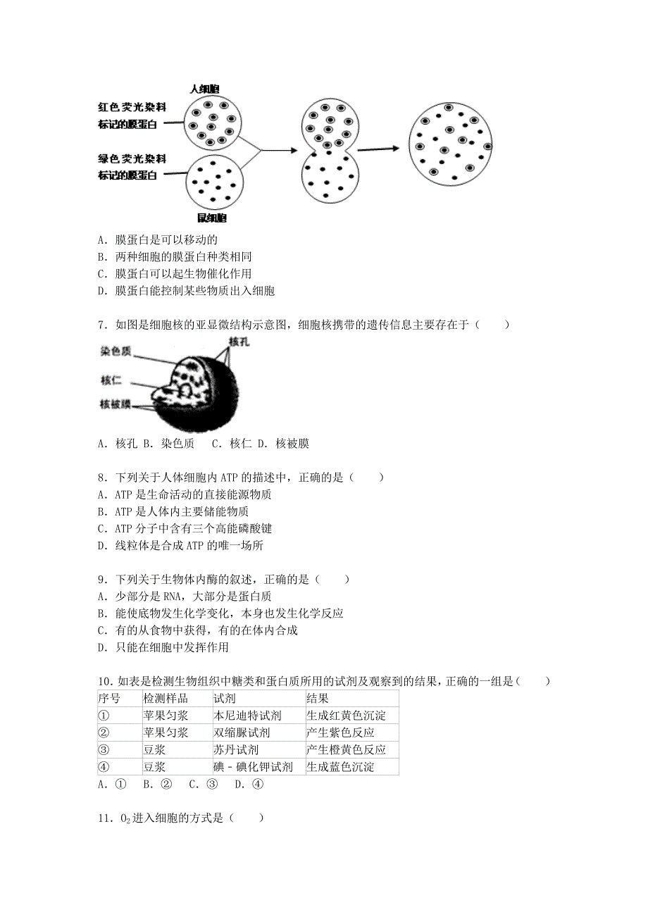 浙江省绍兴市诸暨市牌头中学2015-2016学年高二生物上学期期中试卷含解析_第2页