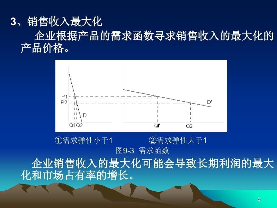 《企业定价策略》课件_第5页