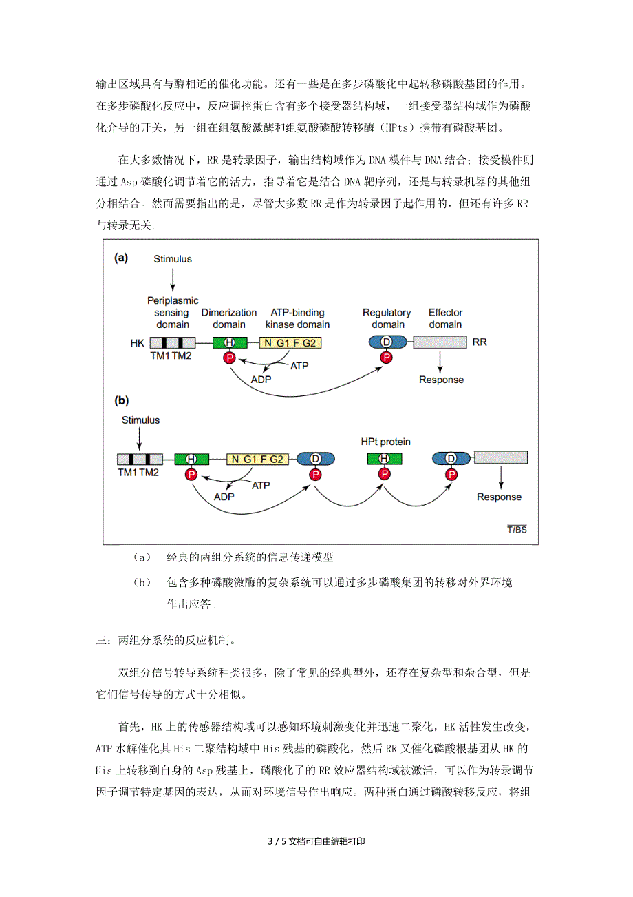 细胞育生物学课程论文_第3页