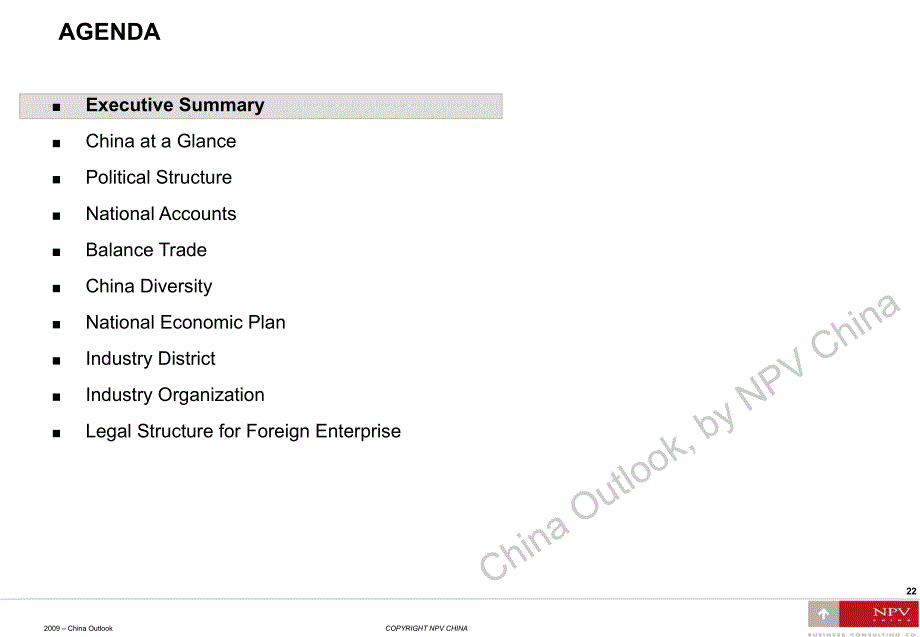 NPVChinaOutlook_第3页