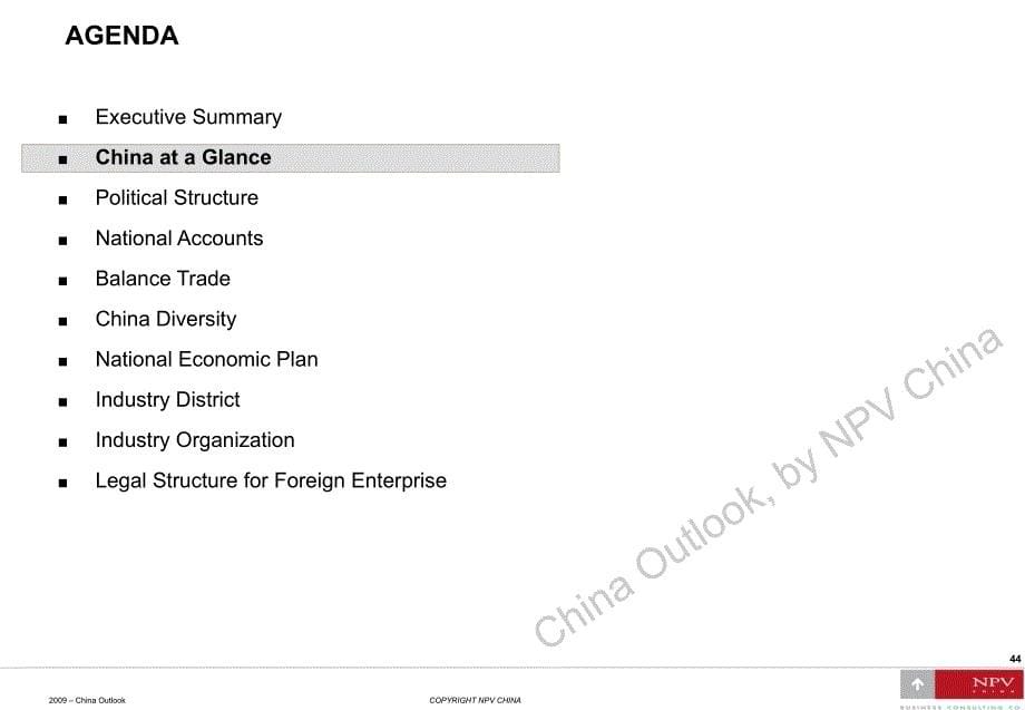 NPVChinaOutlook_第5页