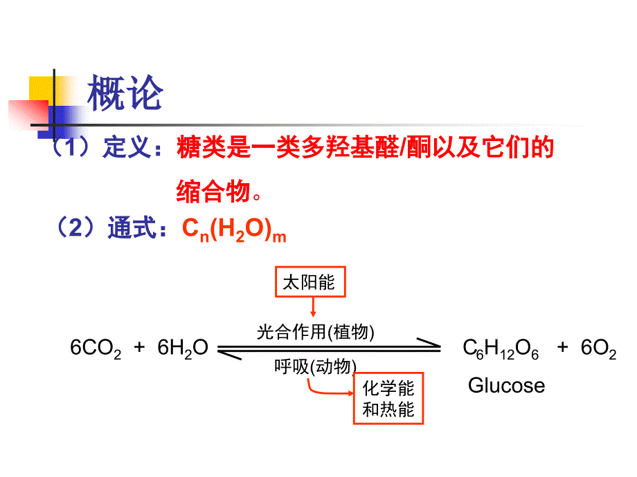 第十三章糖类ppt课件_第2页