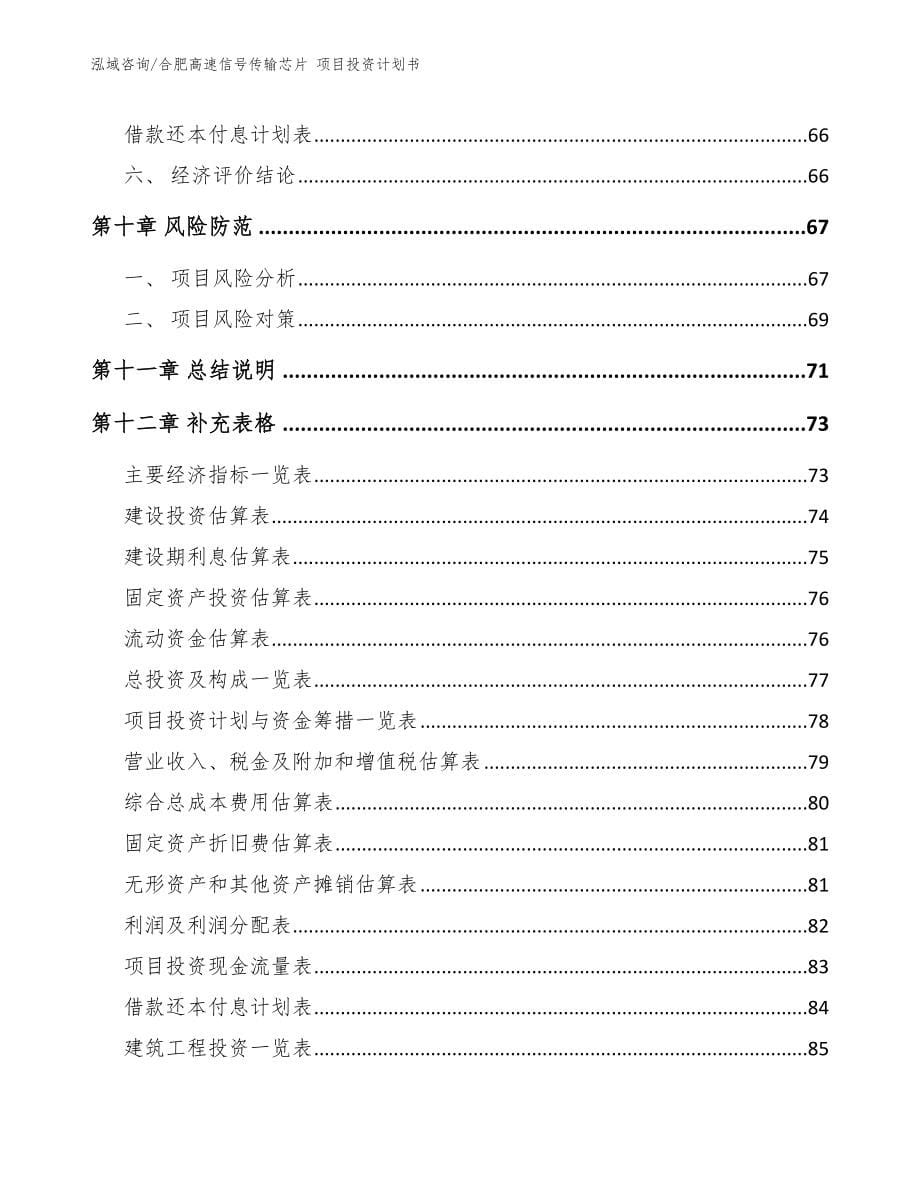 合肥高速信号传输芯片 项目投资计划书_第5页