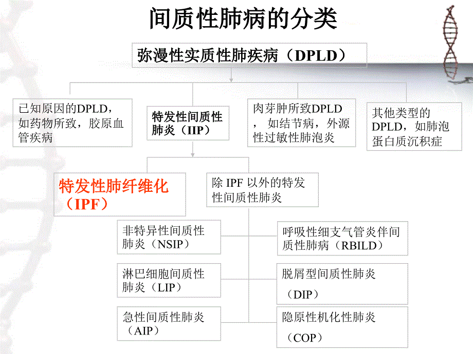 特发性肺纤维化急性加重的治疗进展.ppt_第4页