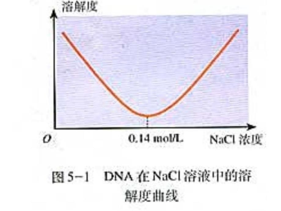 DNA的粗提取和鉴定91137知识讲解_第5页