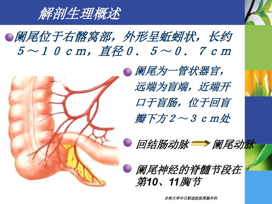 最新第三十八章阑尾疾病PPT文档_第2页