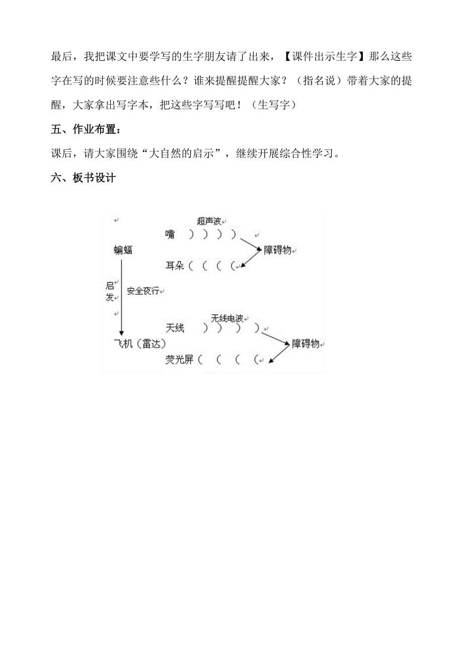 《蝙蝠和雷达》教案_第5页